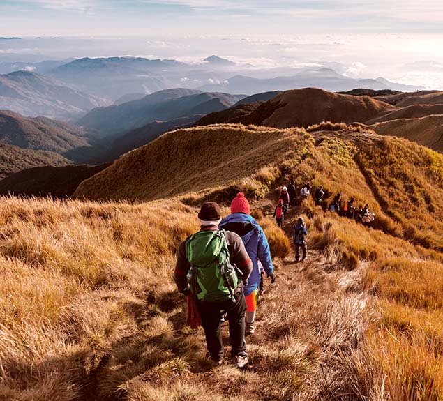 Interim consolidated financial statements 2020