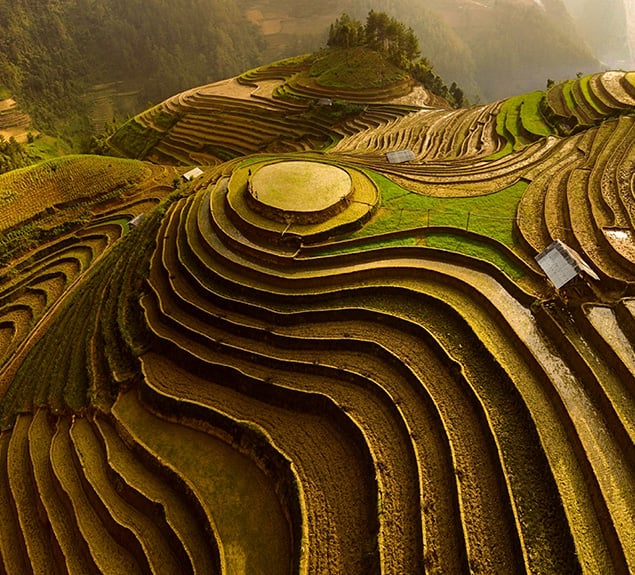 IFRS 16: Preparing for lease accounting