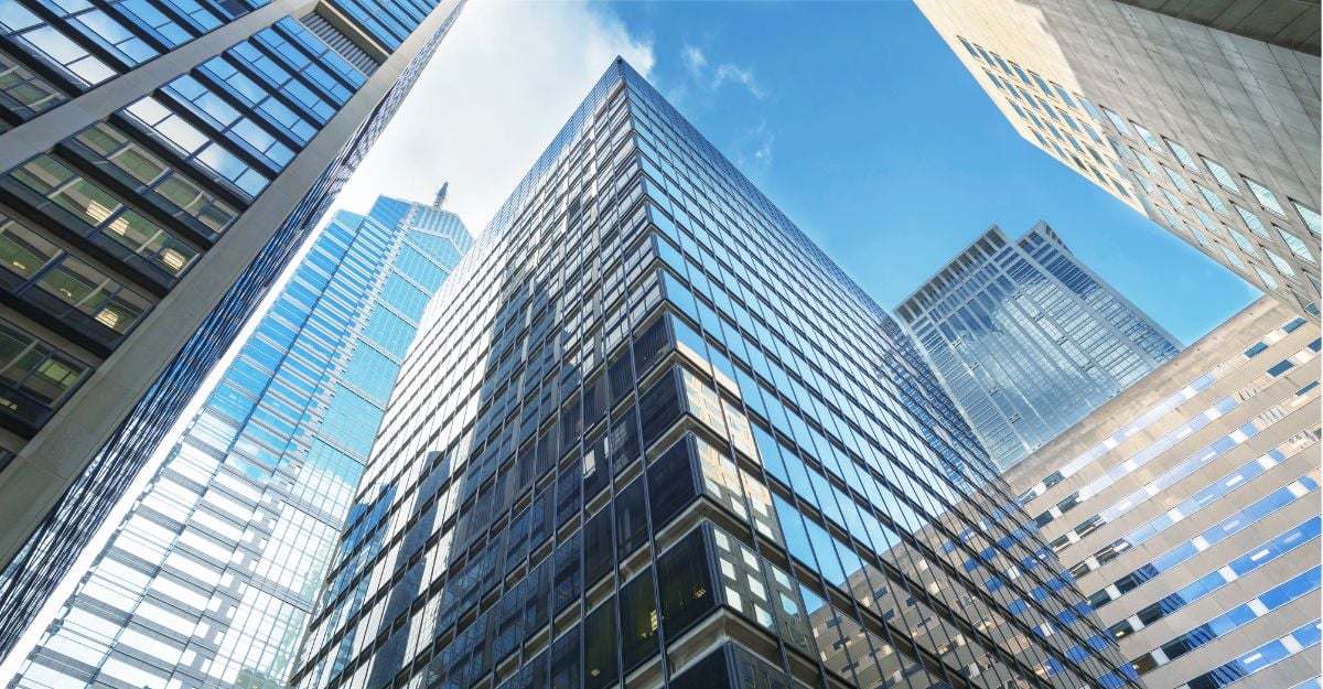 insight featured image