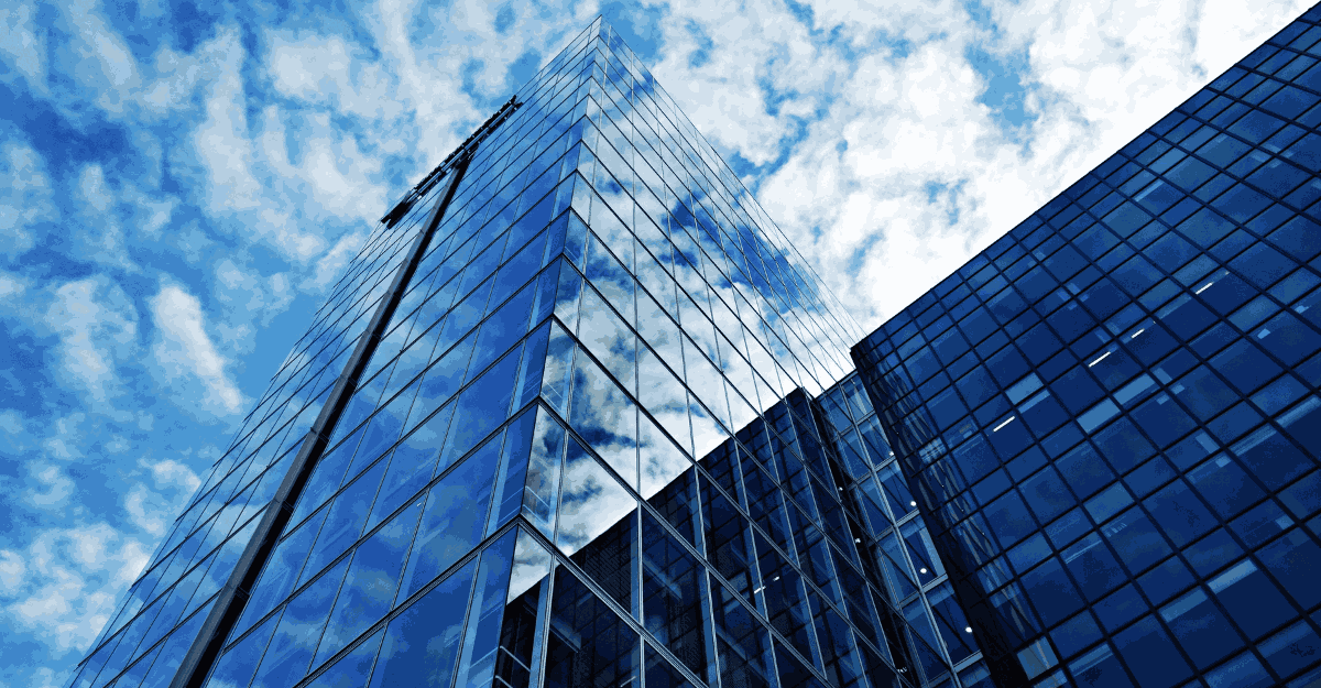 insight featured image