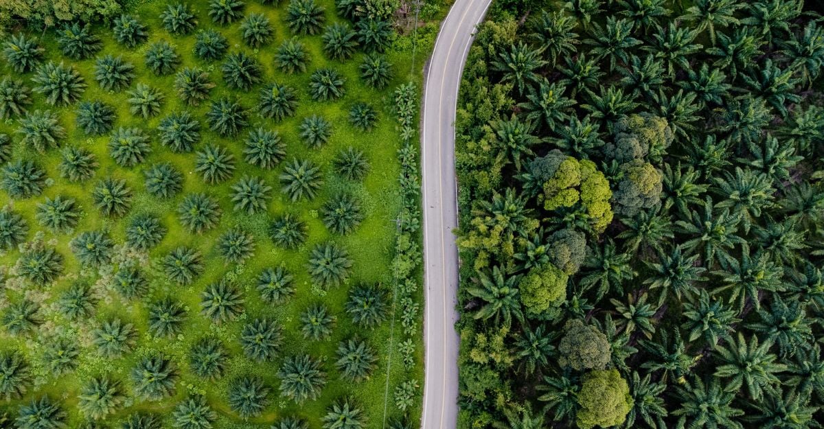 insight featured image