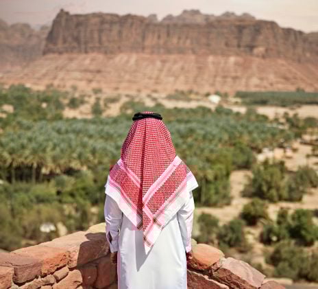 Beyond the Numbers: How Financial Transparency Fuels Business Growth in Saudi Arabia