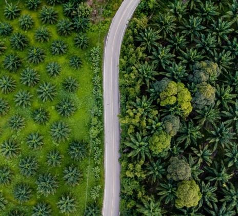 Changing economic environments