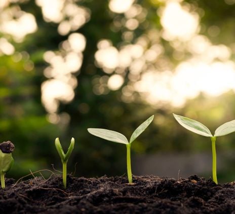 Green Financing in Saudi Arabia: Paving the Way for Sustainable Growth and Rigorous Auditing