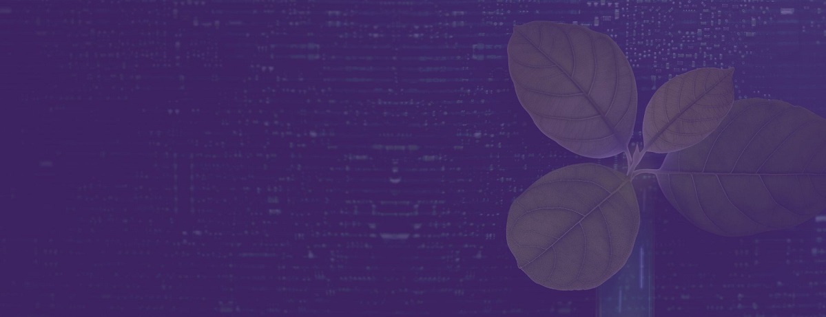 insight featured image