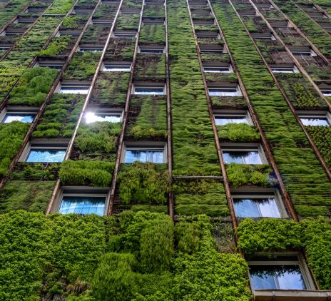 How the Finance Function Powers the Green Economy