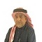 Abdullah M Al-Basri